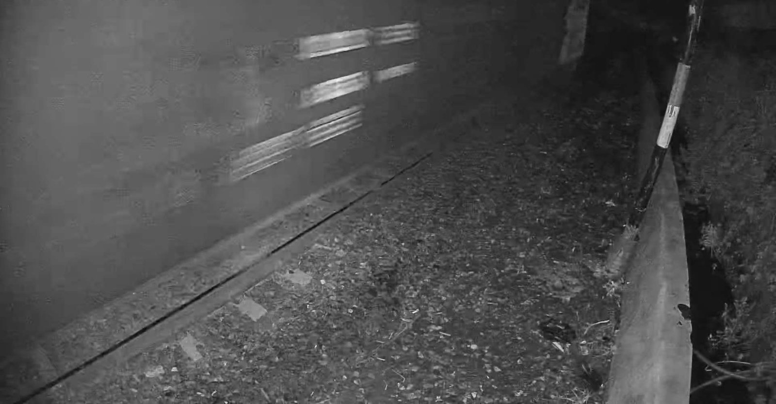 2026-04-24 20:40:17.jpg
